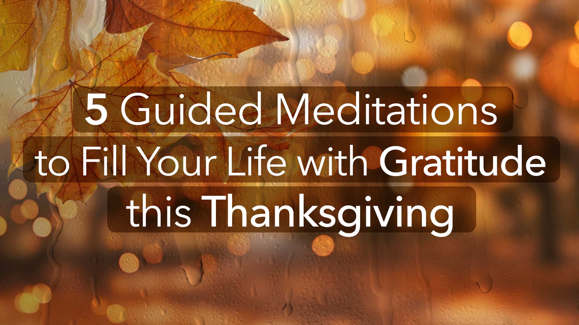 5 Guided Meditations to Fill Your Life with Gratitude this Thanksgiving