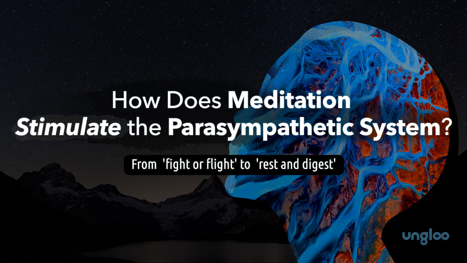 Meditation and the Parasympathetic System
